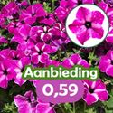 Afbeelding van Petunia P12 "Actie" Circus Sky